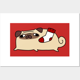 Sock Pug Posters and Art